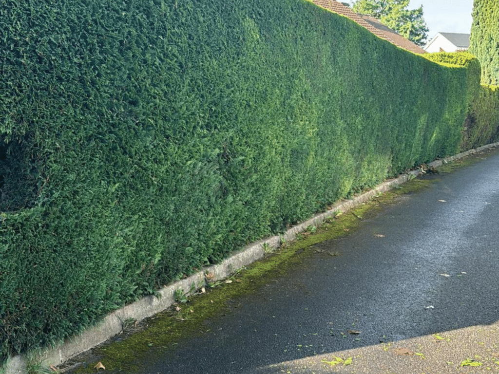 design sans titre 27 1024x768