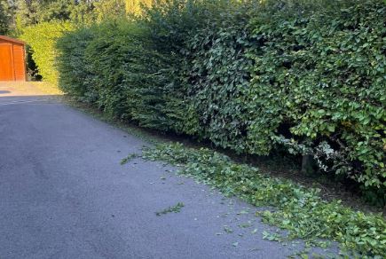taille de haie a villeneuve de berg